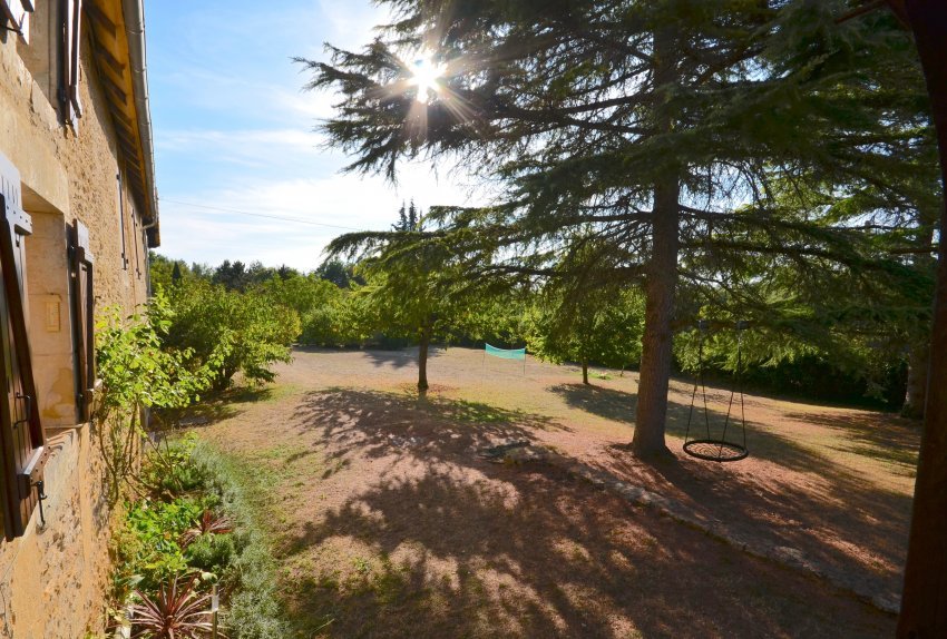 Location & Surroundings